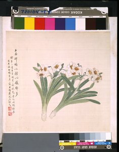 花と鳥のアルバム」 制作年不詳 （絹本、インク、彩色） 作： School Chinese