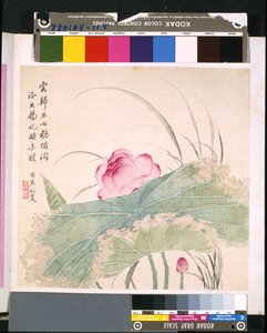 花と鳥のアルバム」 制作年不詳 （絹本、インク、彩色） 作： School Chinese