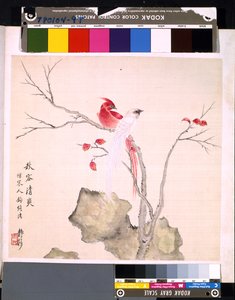 花と鳥のアルバム」 制作年不詳 （絹本、インク、彩色） 作： School Chinese
