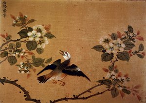 中国美術：鳥と花。16世紀のシルクペインティング。パリ、B.N.