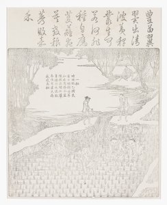 米の灌漑