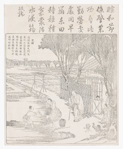 発芽を助けるために水稲を水に入れます。