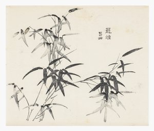 天竹シリーズ