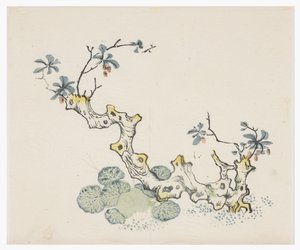 天竹シリーズ 作： School Chinese