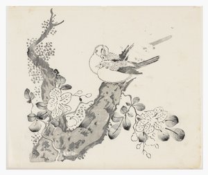 天竹シリーズ
