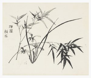 天竹シリーズ 作： School Chinese