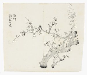 天竹シリーズ 作： School Chinese