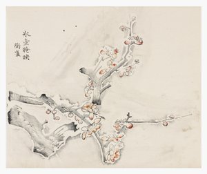 天竹シリーズ 作： School Chinese