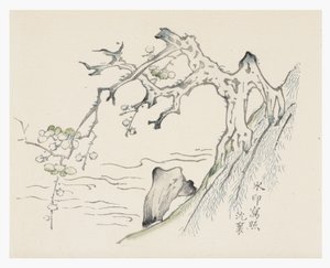 天竹シリーズ 作： School Chinese