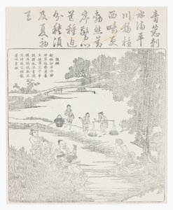 稲の苗を移植する