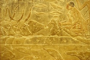 古代エジプト、壁面彫刻／絵画、イドゥートのマスタバ／墓、サッカラ、第6王朝、川を渡る牛、子牛を助ける男性、見守る母親（写真） 作： School Egyptian