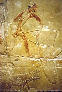 古代エジプト、壁画、イドゥートのマスタバ／墓、サッカラ、第6王朝、ワナ網漁、カバ（写真） 作： School Egyptian