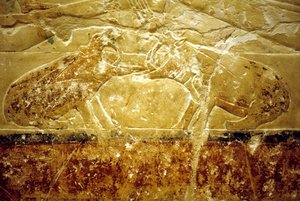 古代エジプト、壁面彫刻／絵画、イドウトのマスタバ／墓、サッカラ、第6王朝、闘う2頭のカバ（写真）
