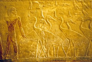 古代エジプト、壁面彫刻／絵画、ティのマスタバ／墓、サッカラ、第5王朝、飼い鶴を率いる農夫（写真） 作： School Egyptian
