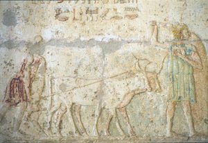 古代エジプト、壁の彫刻／絵画、ペトシリスの墓、トゥナ・エル・ゲベル、紀元前300年、耕作と作物の種まき（写真） 作： School Egyptian