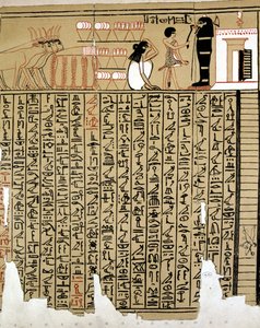 エジプトのヒエログリフ 作： School Egyptian