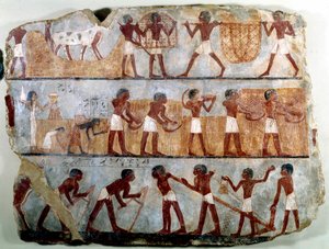 エジプト古代美術：テバン族のオウンソウの墓から出土した壁画：畑の仕事：耕す、植える、収穫する、鞘を運ぶ、植える、穀類を剥ぐ。トゥトモシス（トゥトモス）3世のレジ 作： School Egyptian