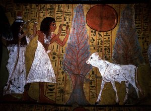 ルクソール - テーベナイル左岸。DEIR EL MEDINEHのウェブサイト：職人の村とネクロポリス。子牛を示す墓の壁画の詳細は、まだ細く、壊れやすい脚は、将来のapis.19王朝を体現している。 作： School Egyptian