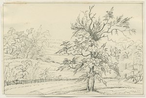 Cannock Chase: pen and pencil drawing, nd [?19 cent] (drawing) 作： School English