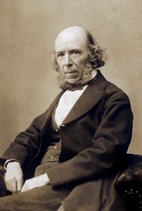 ハーバート・スペンサー、c。 1890年（白黒写真） 作： School English