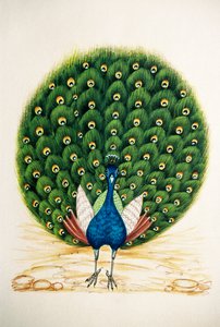シルクに孔雀の細密画 作： School Indian