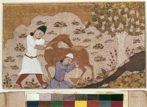 Onager Milking、15世紀後半（水彩、グワッシュ、白色、紙にインク） 作： School Iranian