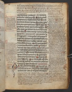 Harley 1802, f.19r, Gospels of Maelbrigte (the 
