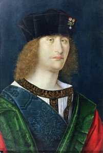 髭のない青年、おそらくバルトロメオ・リヴィアーノ・ダルヴィアーノ (1455-1515)