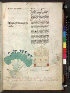Egerton 747 Tractatus de herbis (ハーブ) c.1280-1310 (ベラムにインクとカラー) 作： School Italian