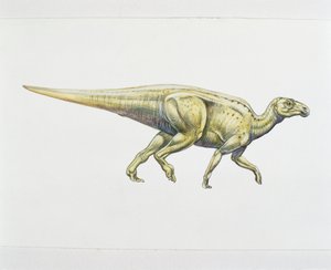 ハドロサウルス（アヒル口の恐竜）（カラーリトグラフ