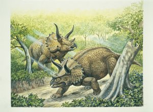 白亜紀のトリケラトプス ホリドゥス（カラーリトグラフ）