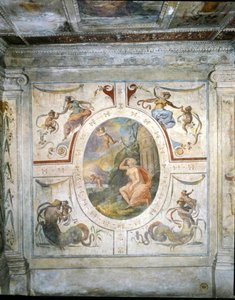コジモ1世（1519-74）のバスルームの壁