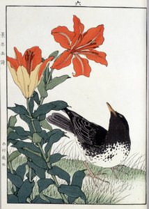 黒鳥と百合の花 - 日本のプリント 作： Japanese School