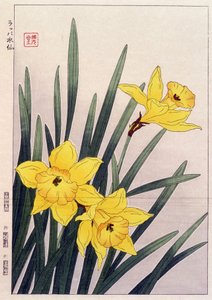 Close Daffodils - Japanese print 作： Japanese School