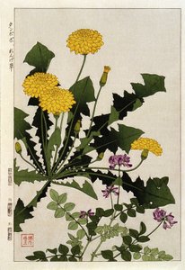 タンポポの花 - 日本のプリント 作： Japanese School