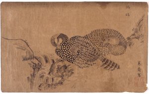 2羽の鳥 作： School Japanese