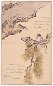 木の上の二羽の鳥 作： School Japanese