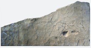 イスラエル、ジュデアン山脈の麓、ベスロヤから出土したヘブライ語の埋葬碑文、紀元前6世紀（石 作： School Levantine