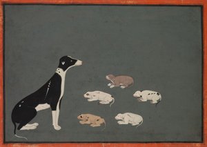 仔犬を連れた犬 1780年頃 （紙にインク、不透明水彩）