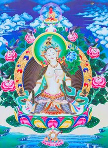 寛大さを象徴するバラダ ムードラの位置に右手を置いて蓮の上に座っている 7 つの目の神の母である白いタラを描いた画像 (布にグワッシュ)