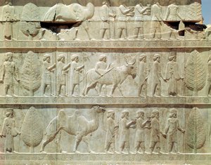 アパダナ（謁見の間）への東階段の浮き彫りフリーズの詳細（アケメネス朝時代、前515年頃）。 作： School Persian
