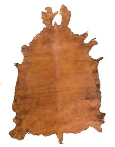 動物の皮、c。 1786年（革） 作： School Russian