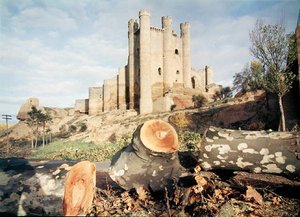 14～15世紀にバレンシア伯爵家によって建てられたコヤンサ城（写真 作： School Spanish