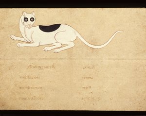 シャム猫に関する写本の葉、20世紀初頭（紙に水彩画） 作： School Thai