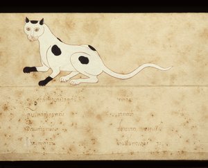 シャム猫に関する写本の葉、20世紀初頭（紙に水彩画） 作： School Thai