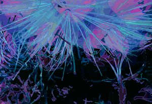 Artichoke_abst_horz1 (デジタル) 作： Scott J. Davis