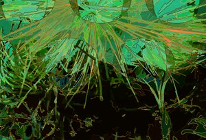 Artichoke_abst_horz2 (デジタル) 作： Scott J. Davis