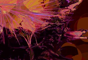Artichoke_abst_horz6 (デジタル)