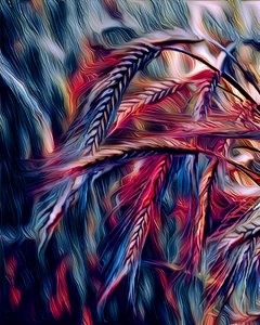 大麦, 2021