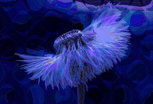 タンポポ、2019 作： Scott J. Davis